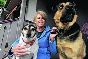 CARING FOR OUR FRIENDS: Carol Leese and her dogs Candy and Buddy will be taking part in an RSPCA education program to teach animal owners pet first aid including CPR, dressing wounds and transporting sick pets. Picture: Oscar Colman