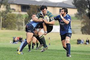 DUE RECOGNITION: Barnstroming Ag College star Dave Armstrong will make his debut for ACT XV in tomorrow’s clash with Tonga in Canberra. 	Picture: Addison Hamilton