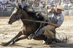 MOMENT OF TRUTH: Wagga cowboy Tyler Pendergast competes at the 2010 Narrandera Rodeo. The 24-year-old is drawn to ride Australia’s bucking horse of the year, Cheyenne Top Girl, in the saddle bronc riding at Narrandera on Saturday night. Picture: Les Smith