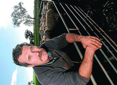 SHEEP LOSS: Coolamon farmer Stuart Jennings said he will be locking his gates and securing his stock more carefully since having 30 of his sheep stolen recently. Picture: Oscar Colman