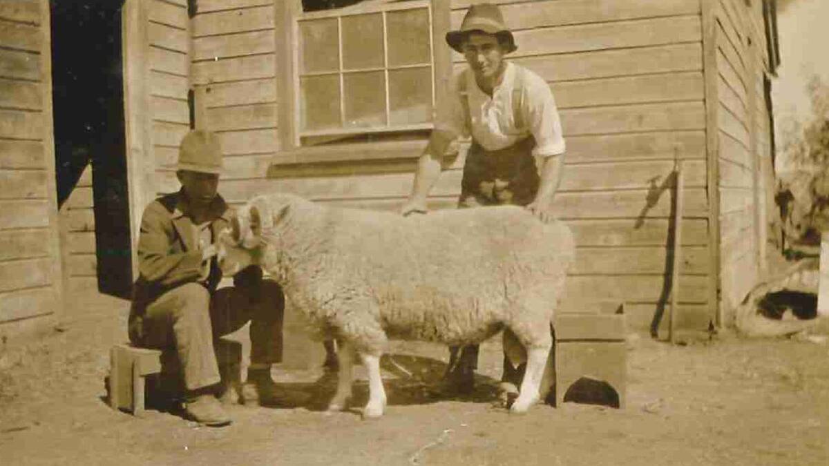 Preparing ram, Billie, for Sydney Show, who was a Grand Champion in 1924,1925 and 1926. Picture: Regional Archives/Wagga and District Historical Society