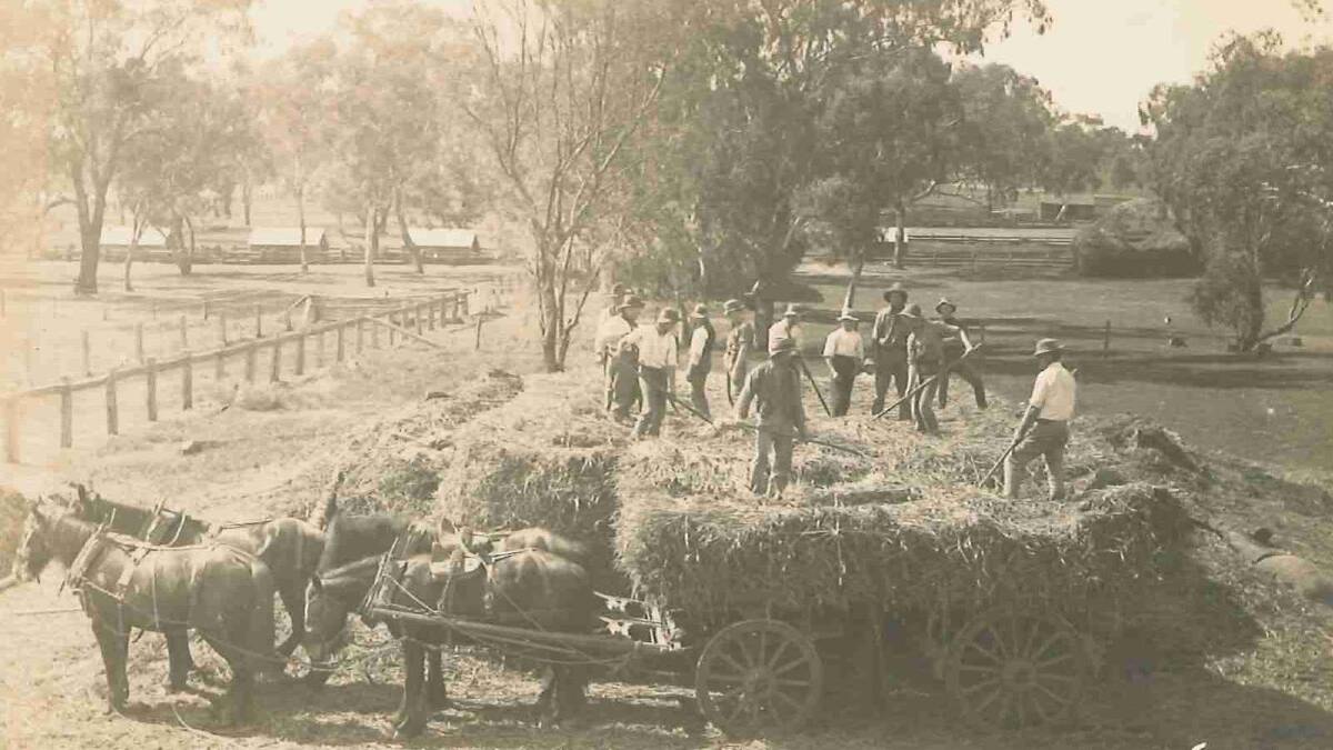 Hay carting at the Wagga Experiment Farm. Picture: Regional Archives/Wagga and District Historical Society