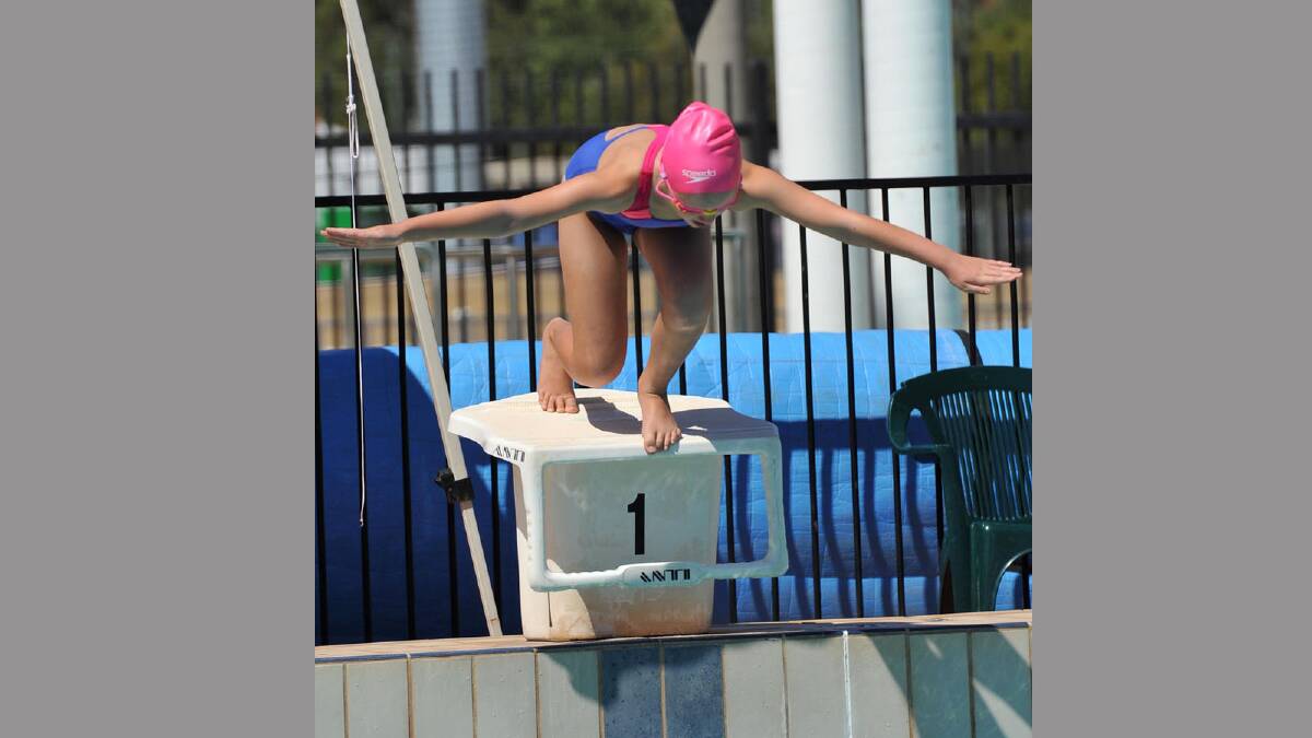 Molly Livio, 8, dives in for her 50m freestyle event. Picture: Michael Frogley