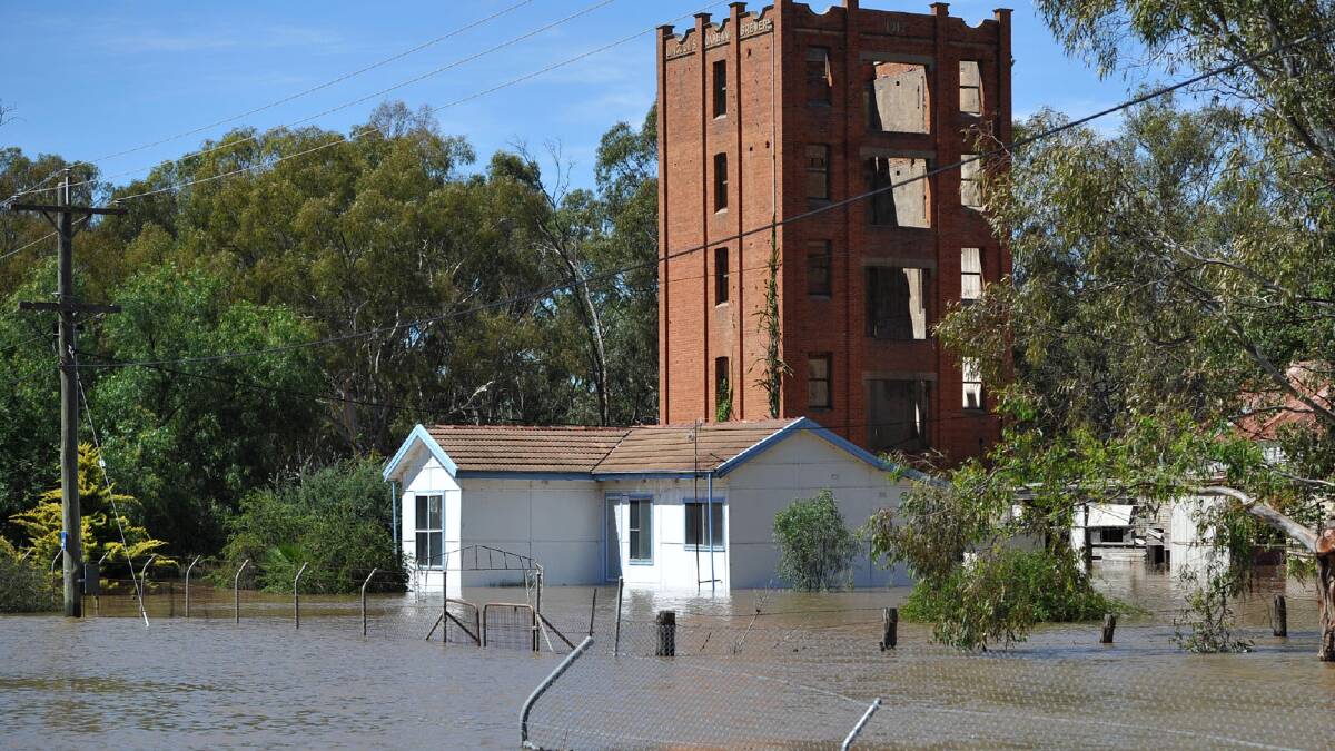 Inundation in the Brewery Flat area between the Main Canal and the Murrumbidgee River. Picture: Michael Frogley
