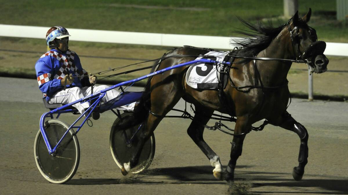 BUSY: Sports Chaton, with Wayne Sullivan in the seat, warms up before the second heat of the MIA Breeders Plate at Lin Gordon Paceway, Leeton, last Thursday night. Picture: Les Smith