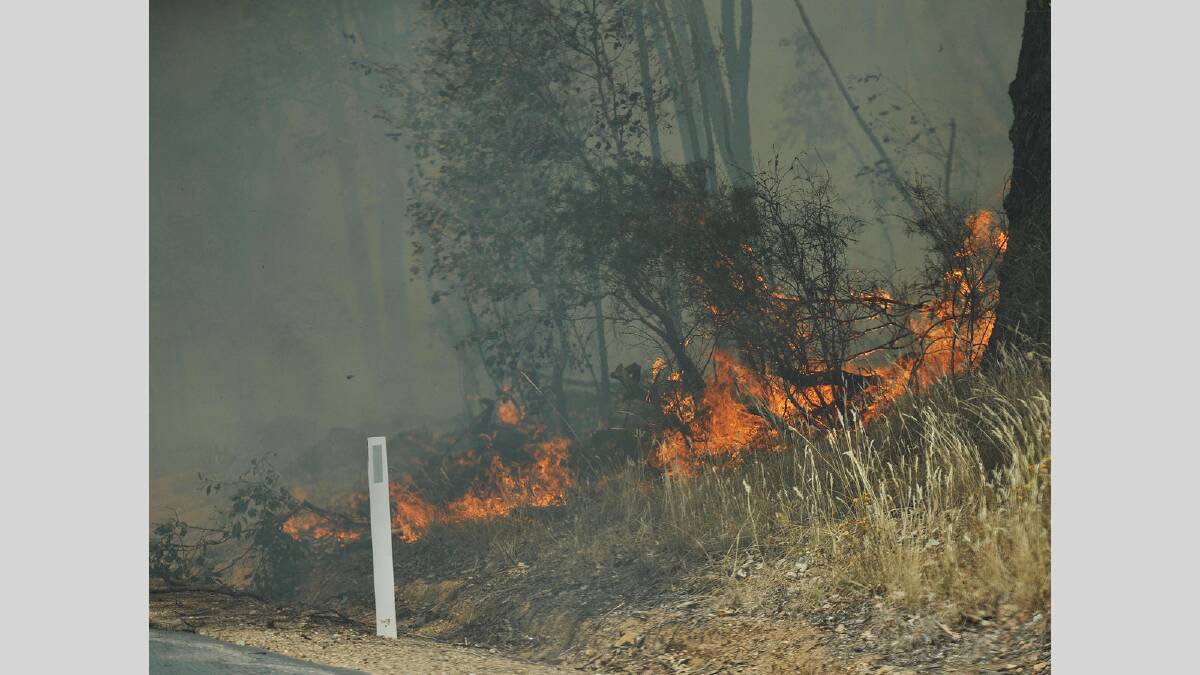 A bushfire that started along Mates Gully Road quickly spread towards Tarcutta. January 8, 2013. Picture: Oscar Colman