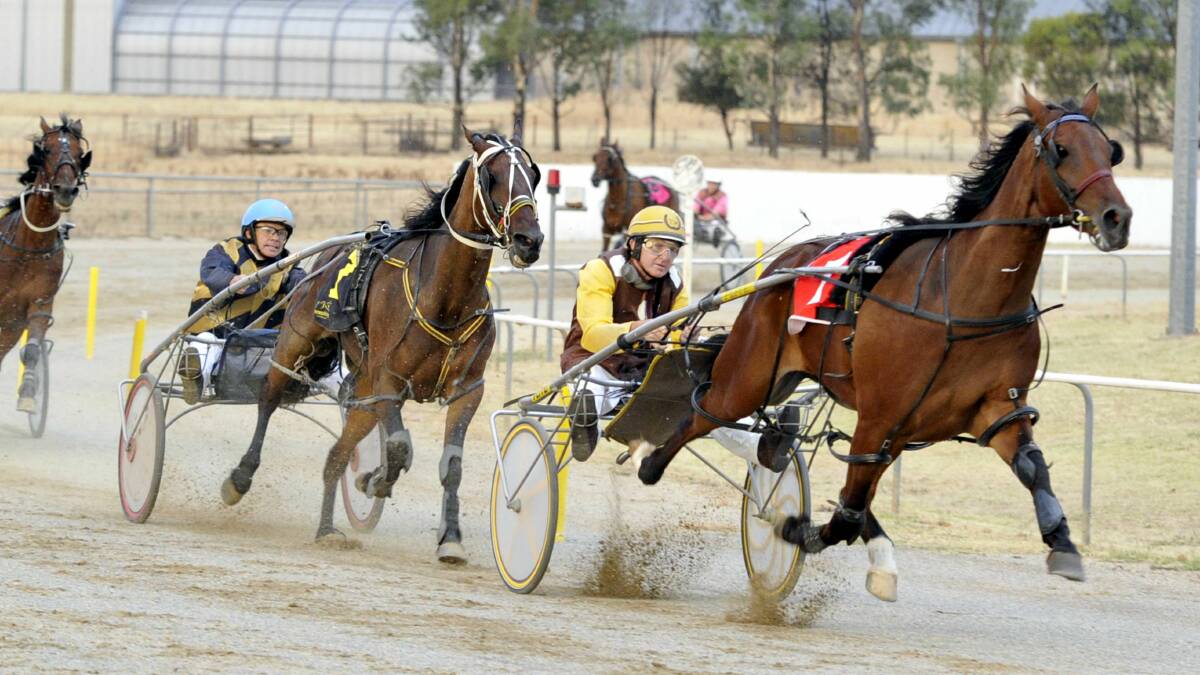 Junee Harness Racing: Great Investment with Trevor White wins race two ahead of Mister Pinjarra. Picture: Les Smith