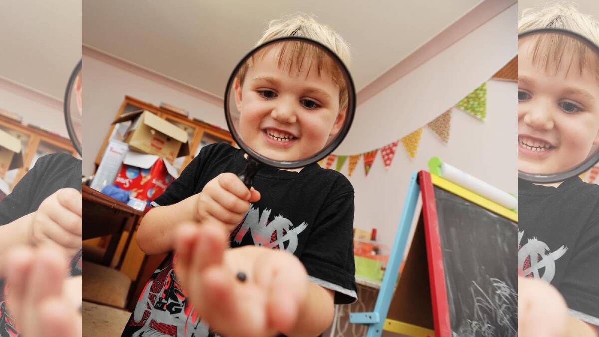 Riley Duggan, 4, inspects bugs he discovered outside yesterday. Picture: Michael Frogley