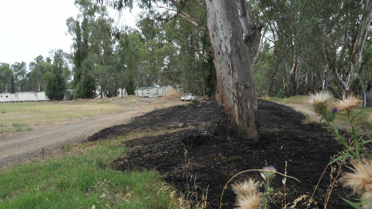 Remnants of a deliberately-lit fire on the riverbank near Wagga Beach caravan park. Picture: Oscar Colman