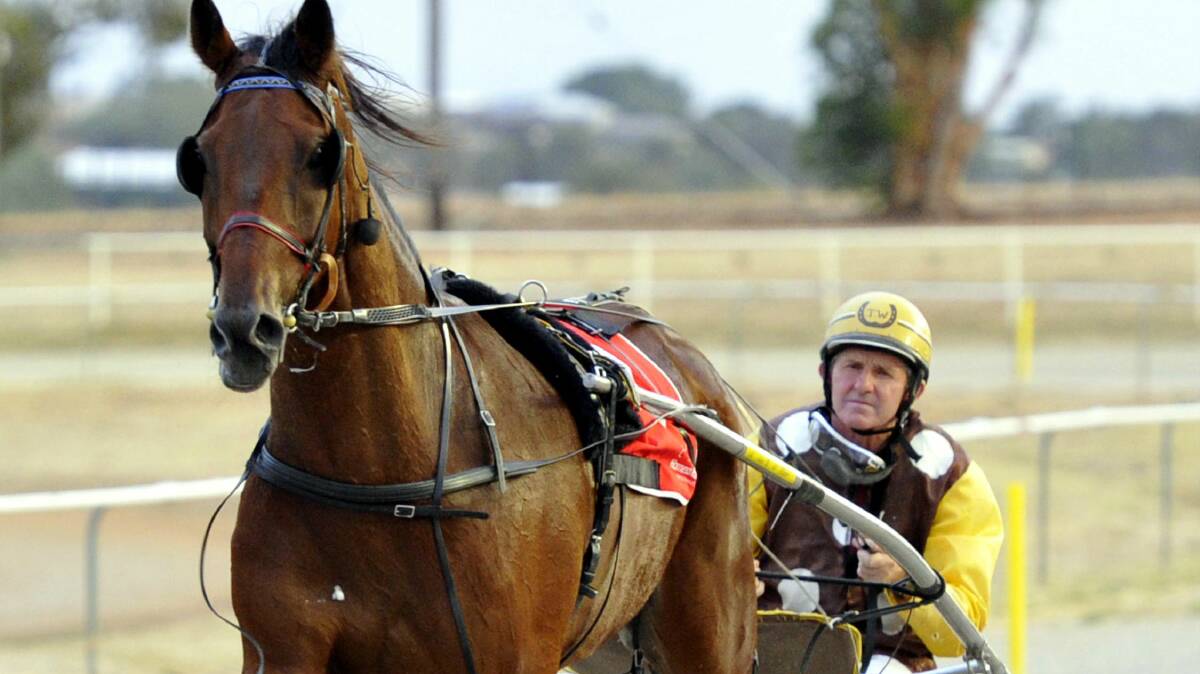 Junee Harness racing: Great Investment with Trevor White. Picture: Les Smith