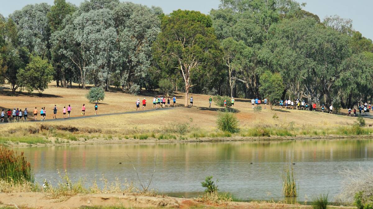 Wagga Triathlon Club's come-and-try duathlon: Runners navigate the course around Lake Albert. Picture: Alastair Brook