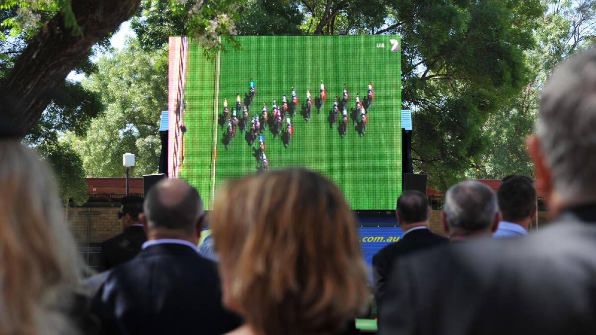 All eyes turned to the big screen for the big race at the MTC Melbourne Cup race day. Picture: Michael Frogley