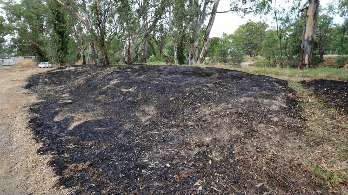 Remnants of a deliberately-lit fire on the riverbank near Wagga Beach caravan park. Picture: Oscar Colman