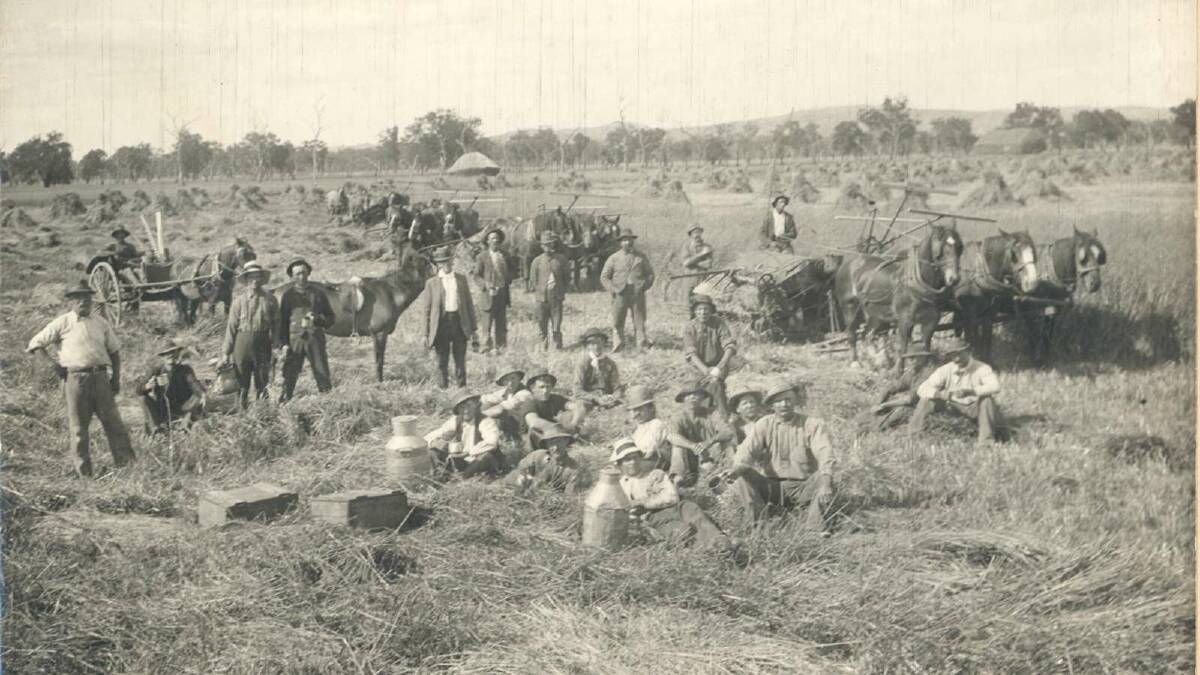 Chaff, circa 1900. Picture: Wagga and District Historical Society