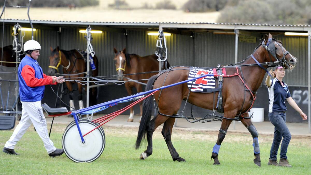 Junee Harness Racing: Trevor Sutherland, with his fiance Stephanie Menzies, prepares to enter the track. Picture: Les Smith