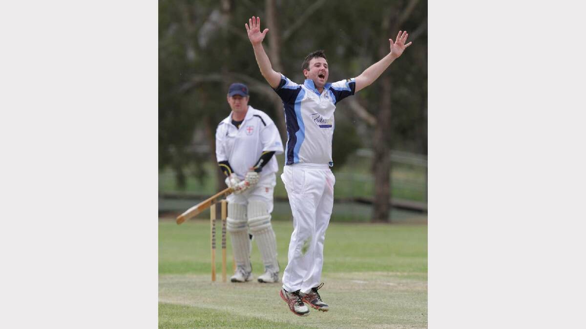 CRICKET: St Michaels v South Wagga at Rawlings Park. South Wagga captain Joel Robinson successfully appeals the wicket of St Michaels batsman Marty Loy. Picture: Les Smith