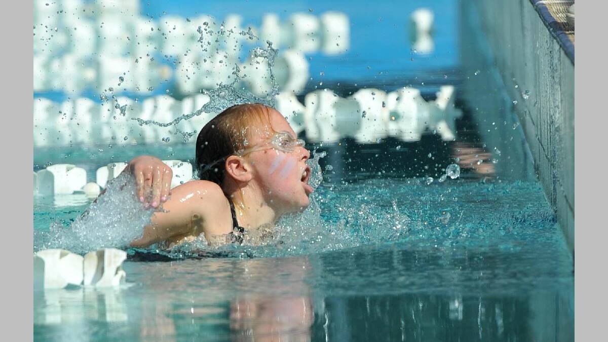 Wagga Public School swimming carnival ... Nell Sellars (10) about to touch for a win in her 50m freestyle. Picture: Micheal Frogley