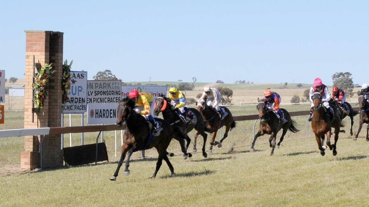 The Harden Cup is won by Central Act, part-owned by Graeme Spackman of Goulburn. Picture: Jacinta Coyne
