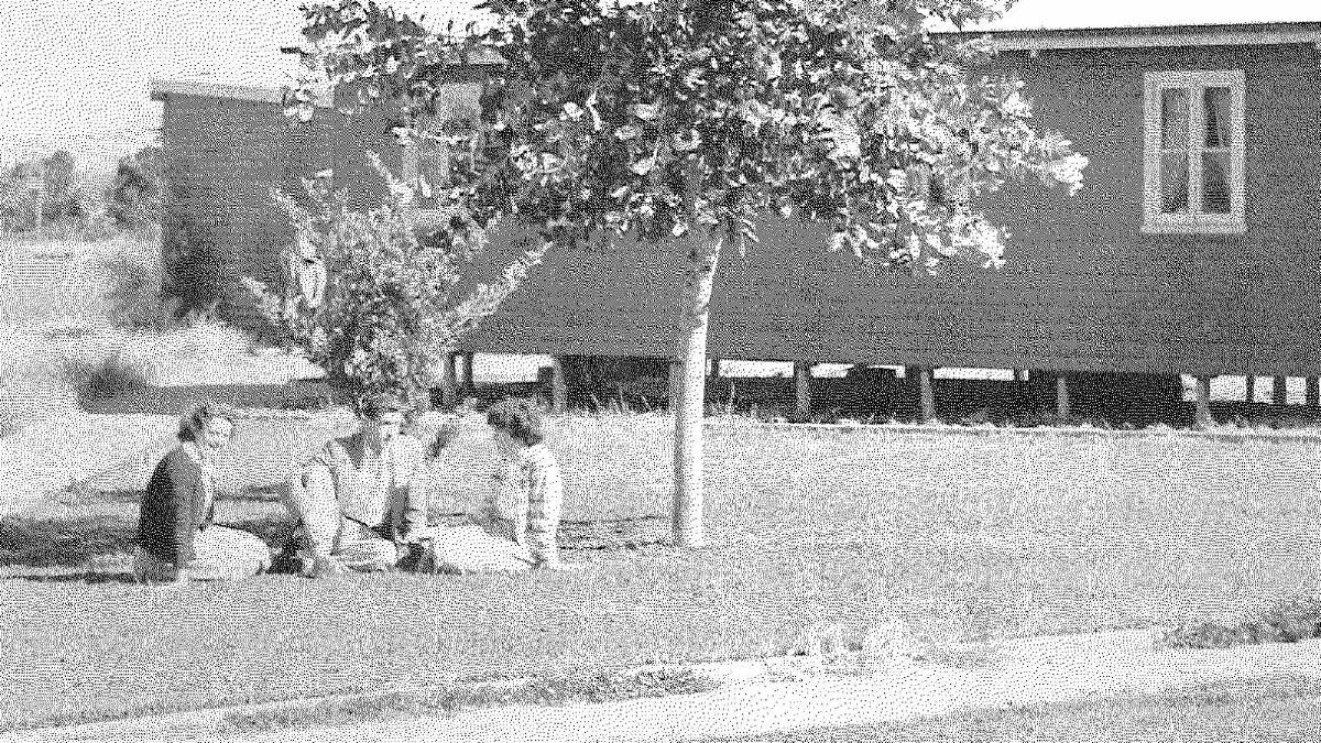 Students relax under trees on campus. Picture: Regional Archives