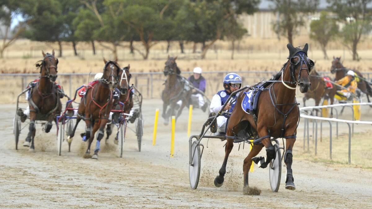 Junee Harness Racing: David Kennedy pilots Royal Canvas to an easy win in race one. Picture: Les Smith