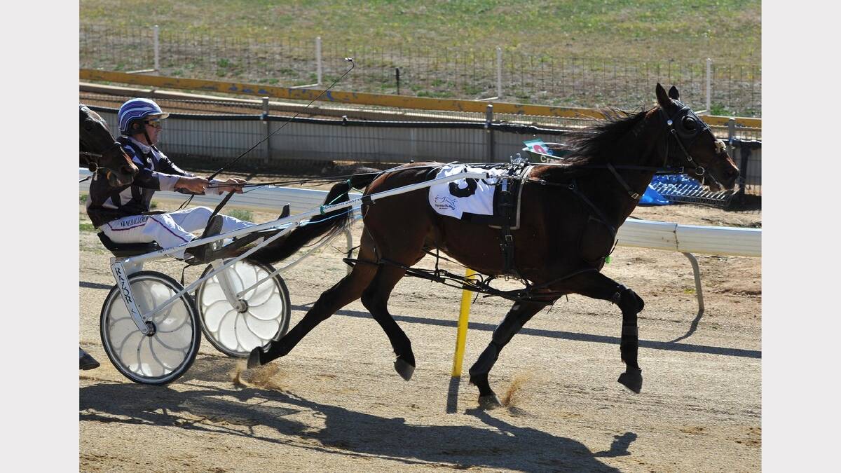 Lettuceriprita driven by Shane Hallcroft on the way to victory in first harness racing race at the duel meeting. Picture: Michael Frogley