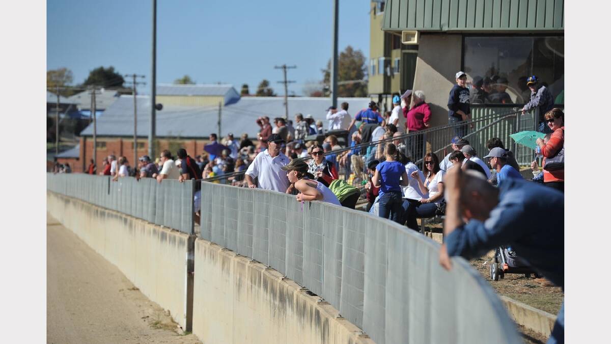 The crowd watching the greyhounds and harness racing duel meeting. Picture: Michael Frogley