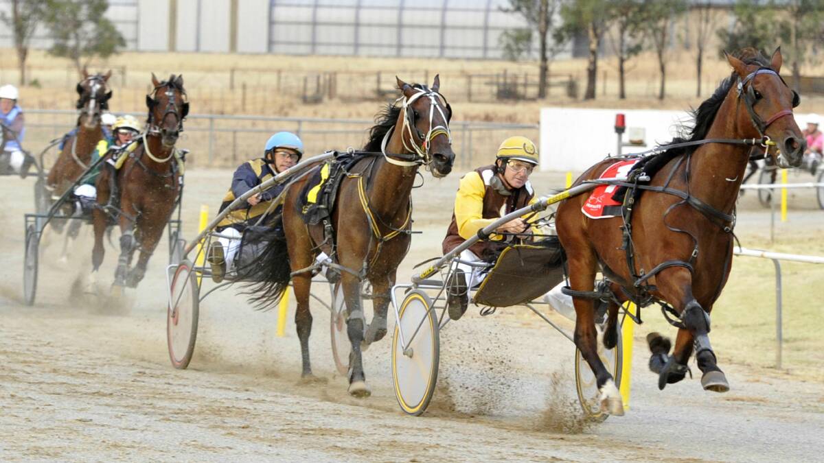 FLYING TO VICTORY: Trainer-driver Trevor White has a good hold on Great Investment on the way to victory in the country series heat for C0s at Junee on Saturday. Pictures: Les Smith