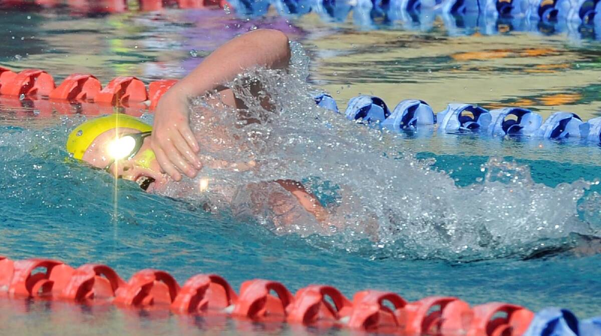  Tim Murphy, 13 competing at the Mater Dei swimming carnival. Picture: Michael Frogley 