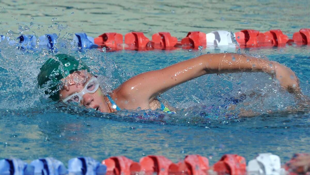Madeline Ingram, 12, in a freestyle race at the Mater Dei swimming carnival. Picture: Michael Frogley