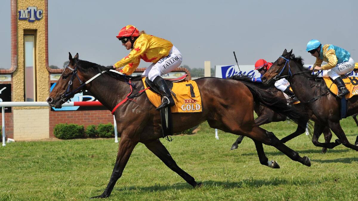 Black Canyon ridden by Megan Taylor winning the second race on the card. Picture: Michael Frogley