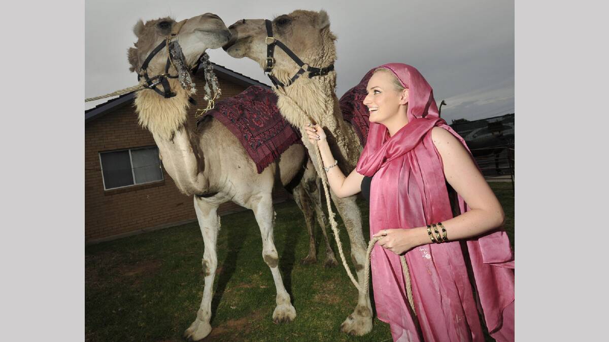 Kissing camels Sarah and Tommy travelled all the way from Shepparton to Bethlehem with handler Kim Turner for the occasion. Picture: Les Smith
