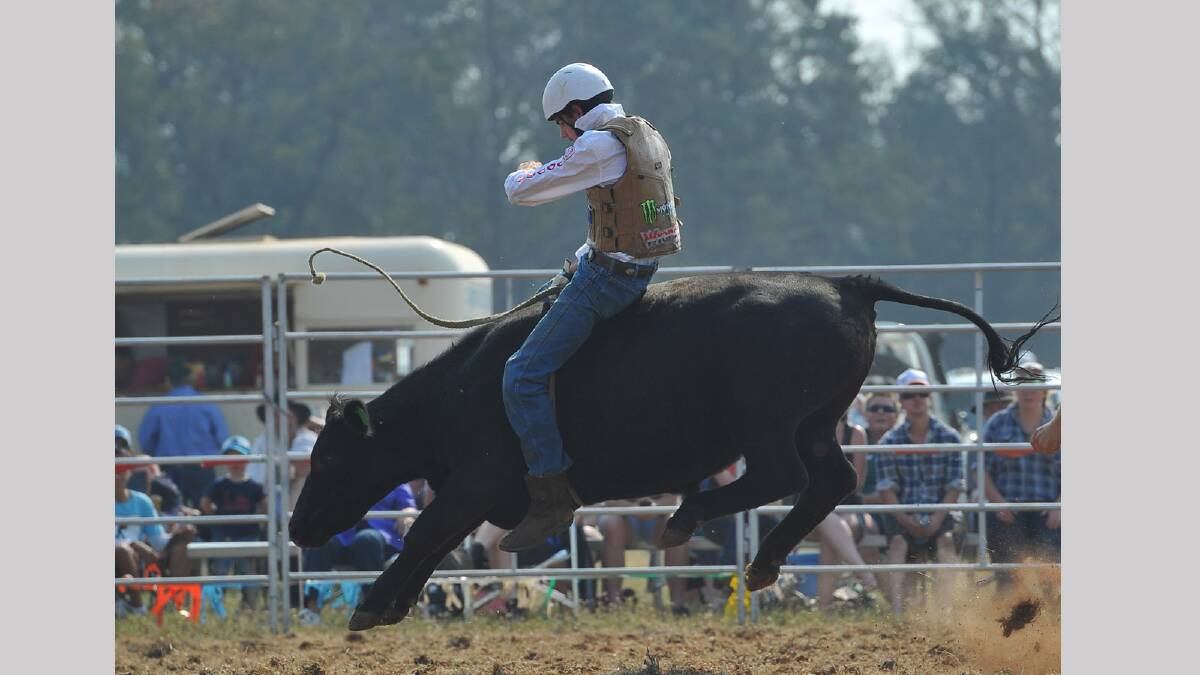 Toby Commins in the under 18s bull riding event at the Coolamon Rodeo. Picture: Addison Hamilton