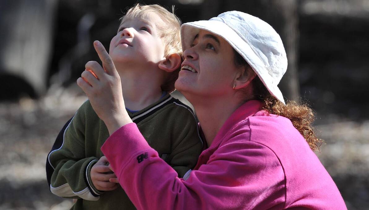 Jaime Kschenka with her son Harry, 3, searching for koalas. Picture: Michael Frogley