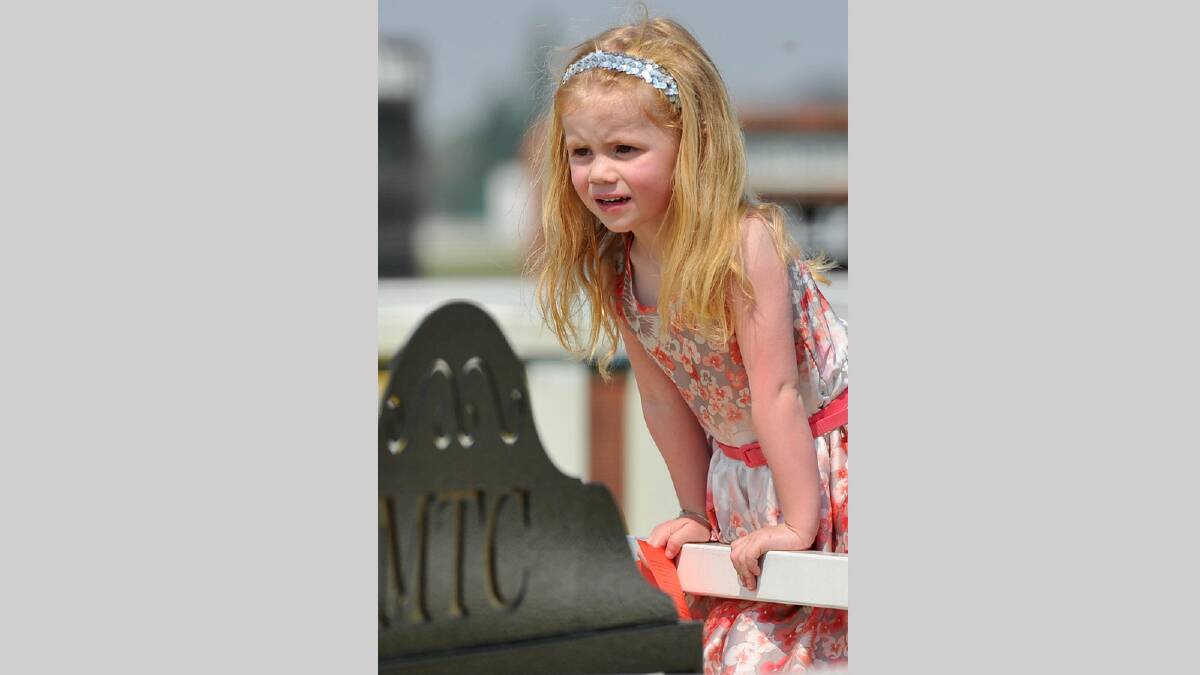 Abbey Hunt, 3, leans over the rail to get a closer look at the horses. Picture: Michael Frogley