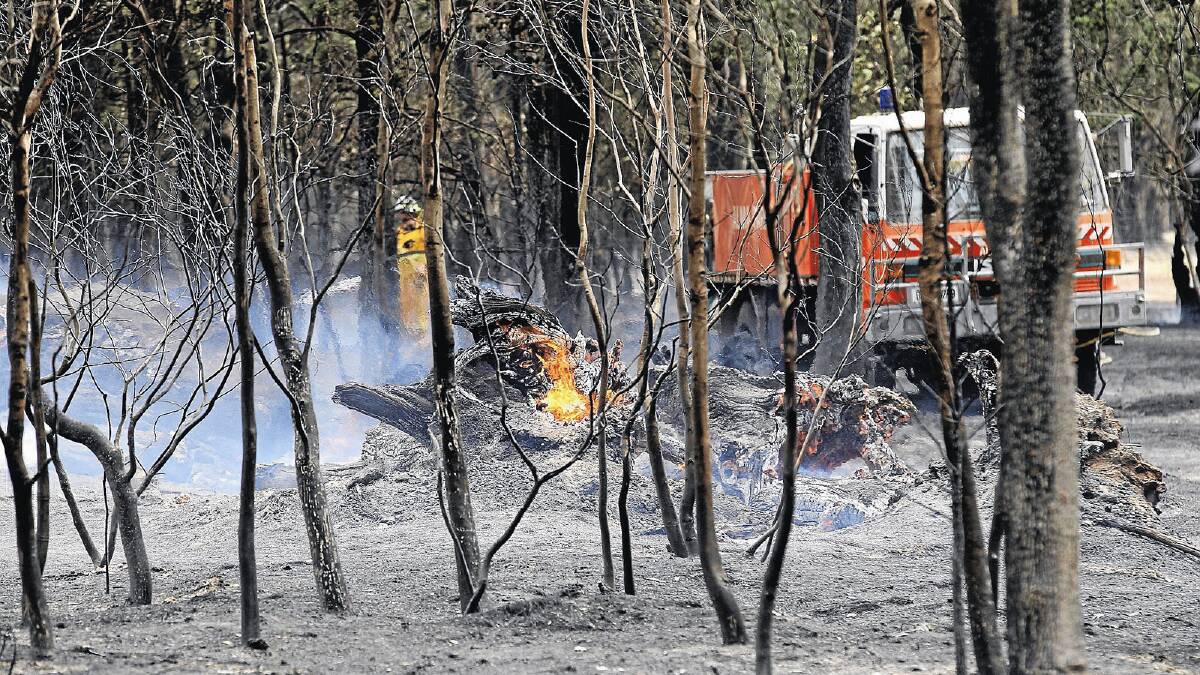 OUT OF CONTROL: The blaze at Henty takes off about 1pm yesterday with strong winds acclerating the burning, keeping the Rural Fire Service members busy right up until later yesterday. Picture: The Border Mail
