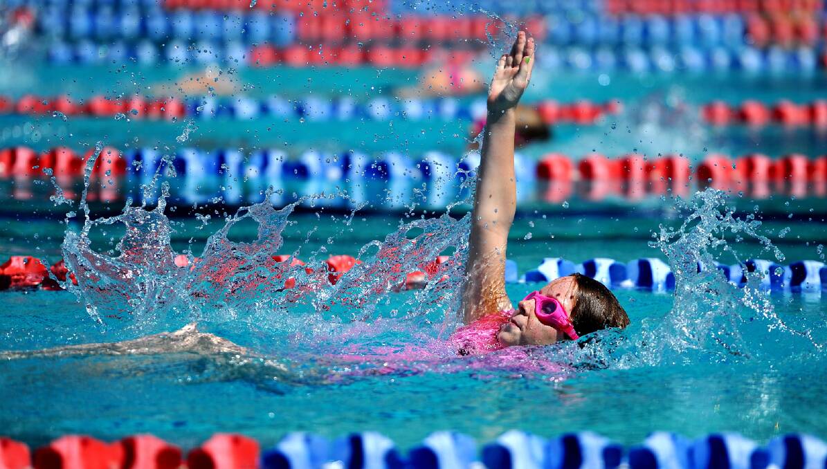 Maddy Parks, 10, gives a great display of backstroke in a 50m event at the Turvey Park Public School swimming carnival at Oasis Regional Aquatic Centre yesterday.