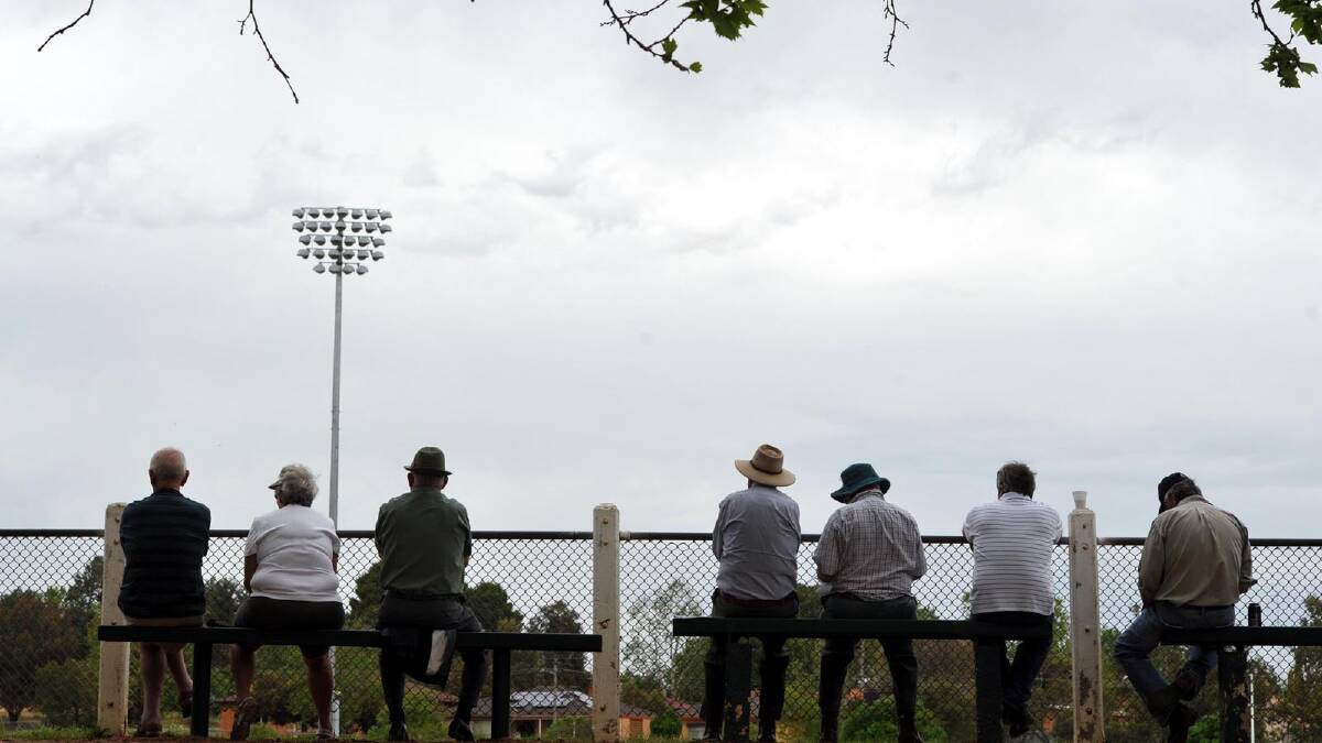 Spectators watching the sheep dog championships at the Narrandera Sportsground. Picture: Les Smith