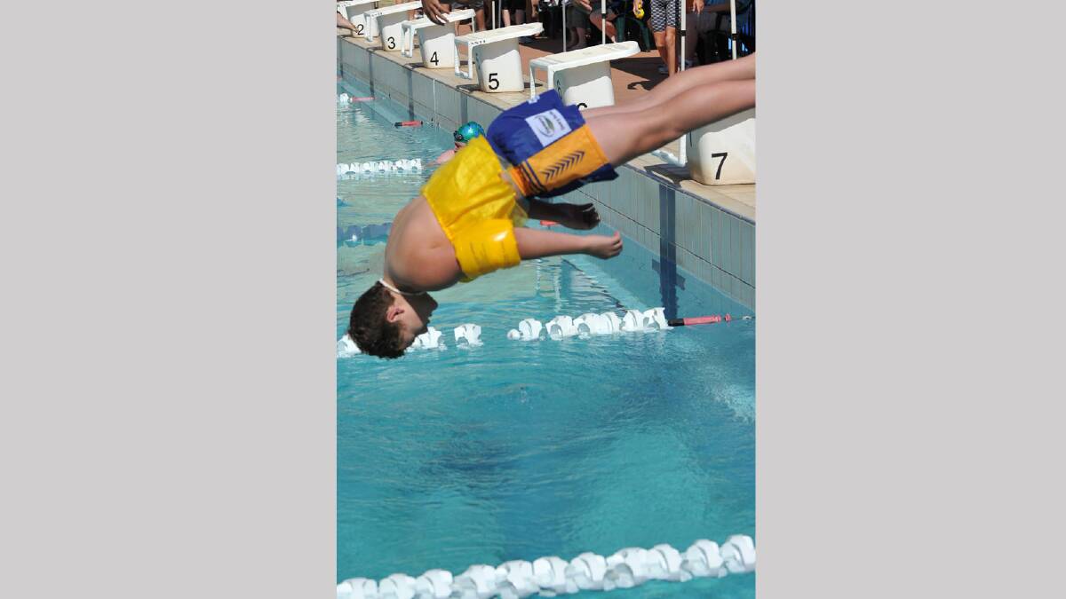 Matt Fellows ,13, dives head first into the Wagga High swimming carnival. Picture: Michael Frogley