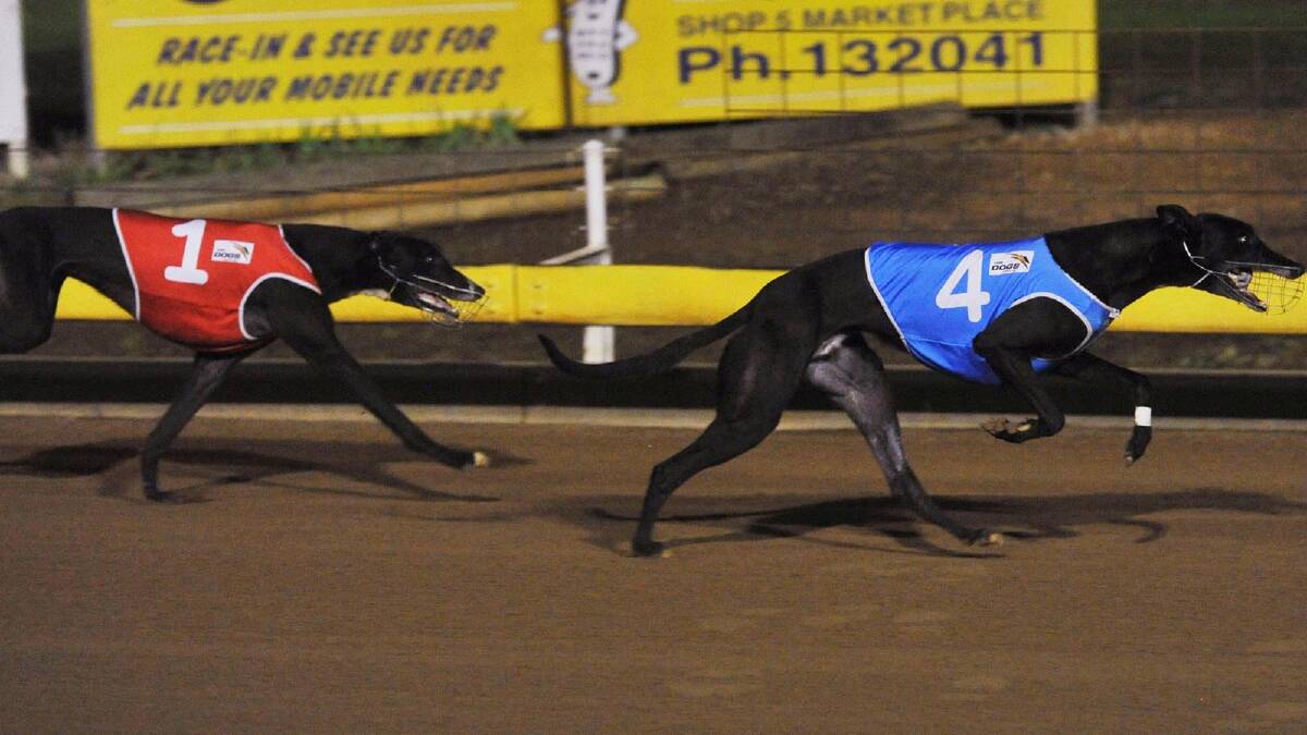 Midnight Ivy races away to win the Butch Pertzel Memorial Final. Picture: Alastair Brook