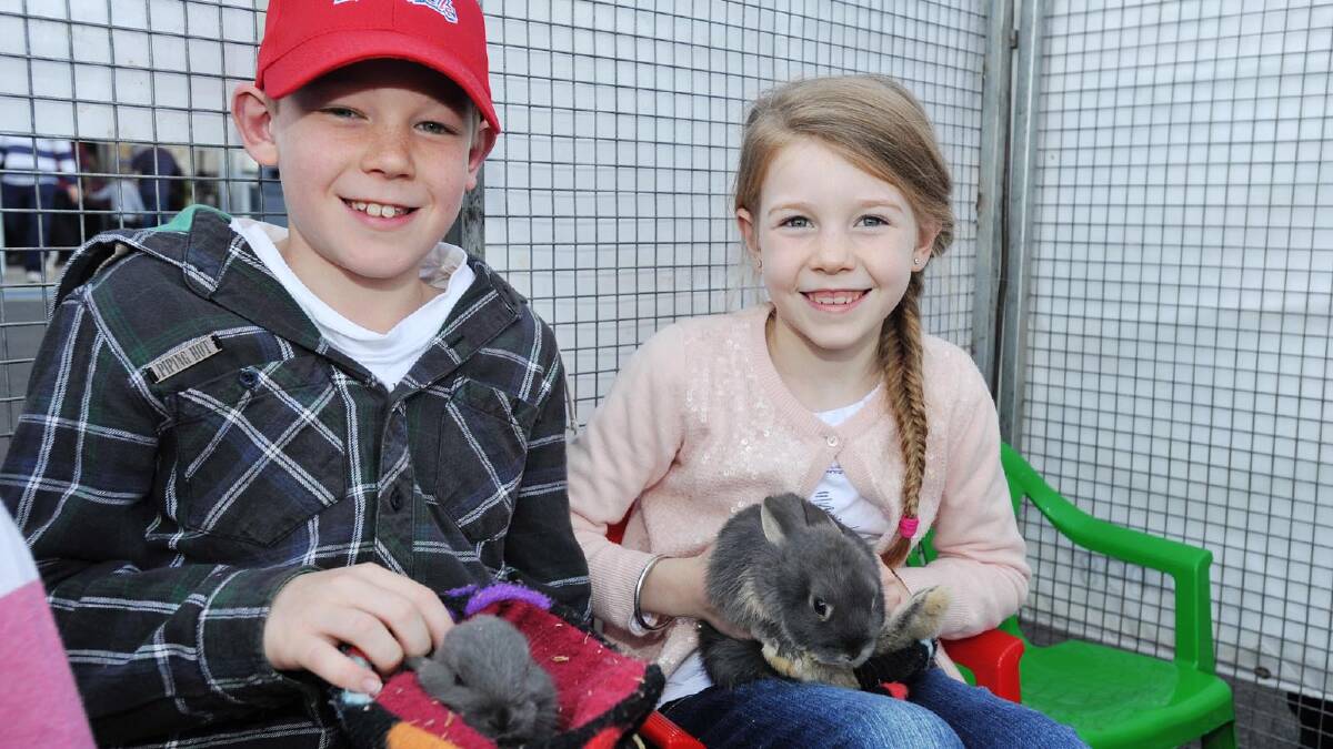 Carter, 9, and Rohan Cummins, 7, meet some rabbits at Old Kentucky Animal farm. Picture: Alastair Brook