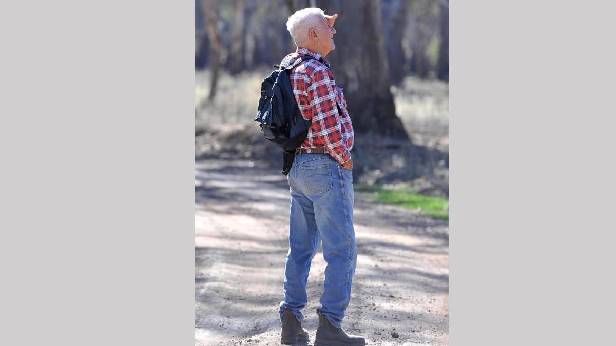  Chas Cornell searching for koalas in the koala count at Narrandera. Picture: Michael Frogley