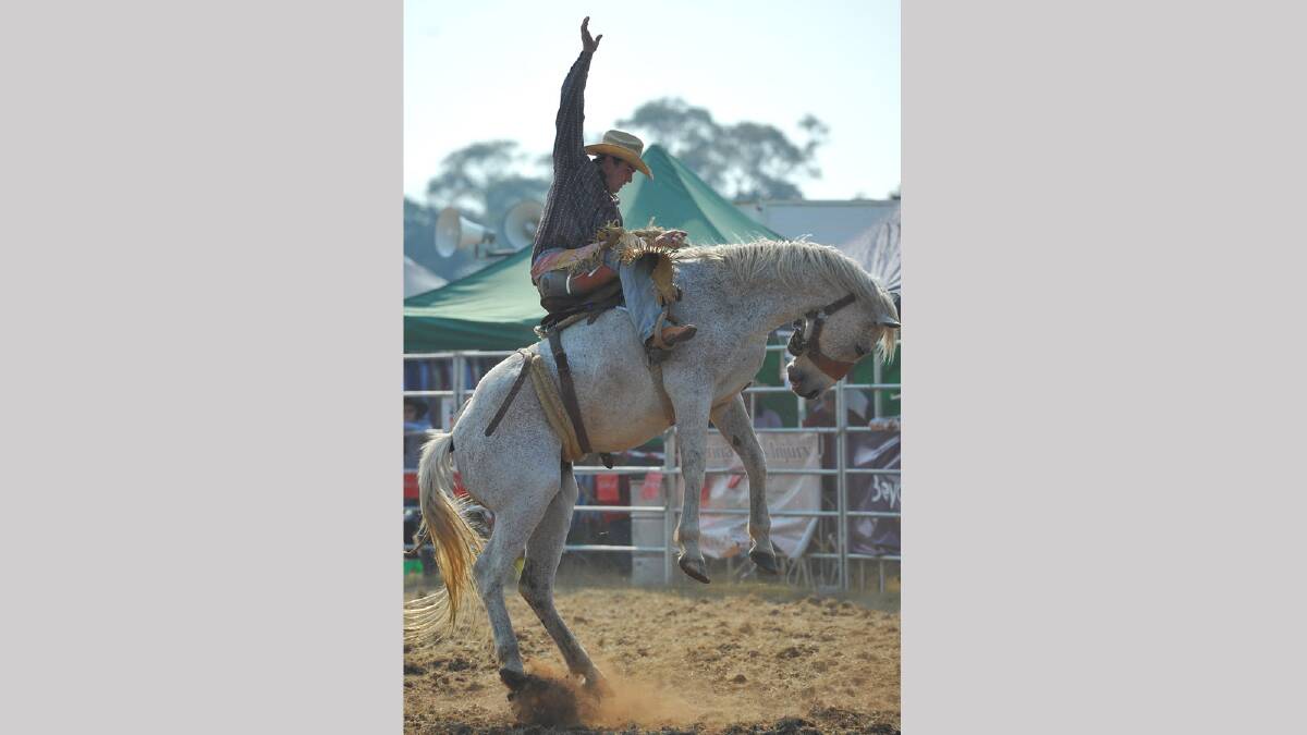 Lincoln Smith in the second division bronco riding at the Coolamon Rodeo. Picture: Addison Hamilton