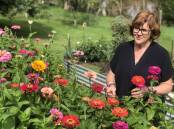 Leanne Davis from Ellerslie Flowers in Kempsey started her own flower farm. Photo: Samantha Townsend