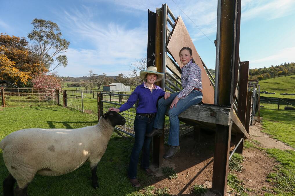 STARTING YOUNG: Stud owners and sisters Rosie Sutherland, 13, and Daisy, 11, with one of Daisy's Suffolk sheep. Picture: TARA TREWHELLA