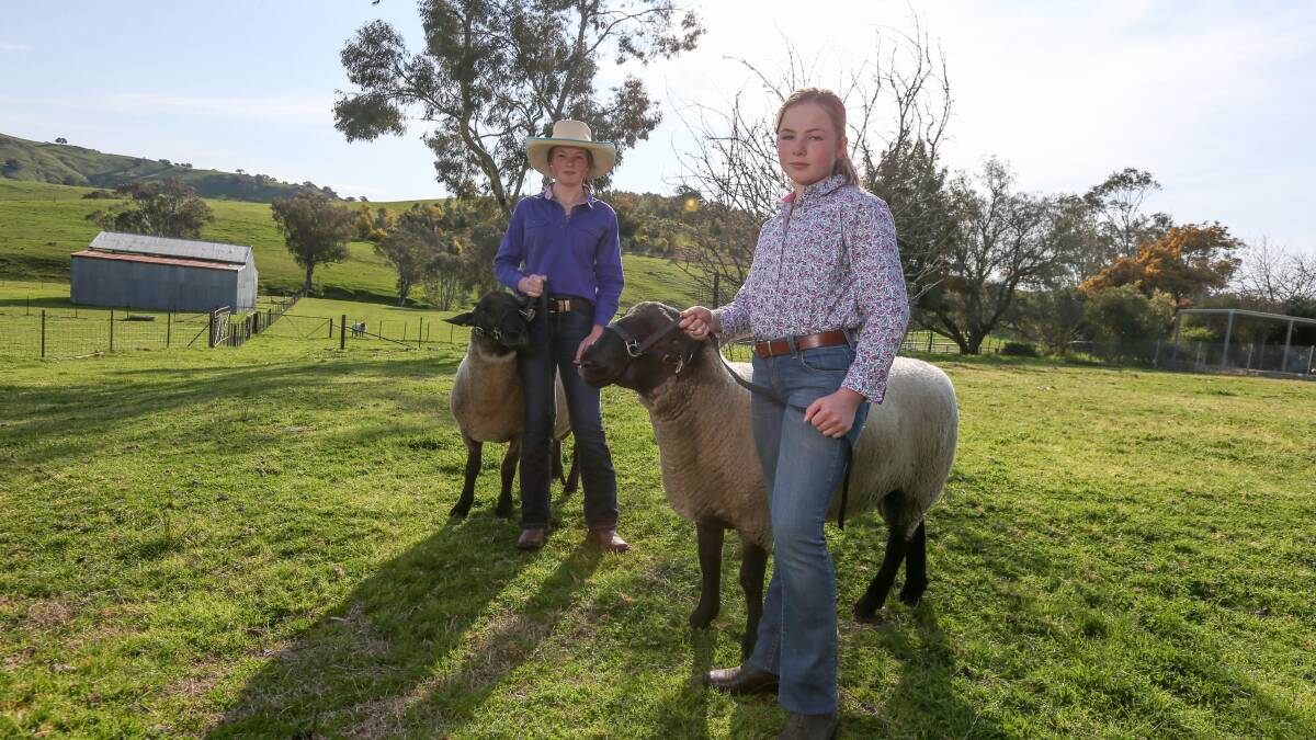 Starting a stud runs in the blood for these Riverina farm girls