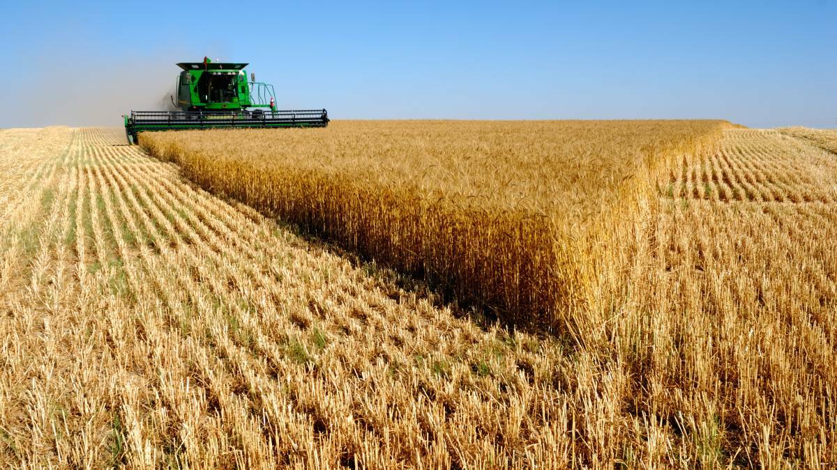 HELP NEEDED: Australia Custom Harvesters Association president Rod Gribble says up to 4000 more skilled harvest workers are needed in the country to avoid losing millions of dollars. 