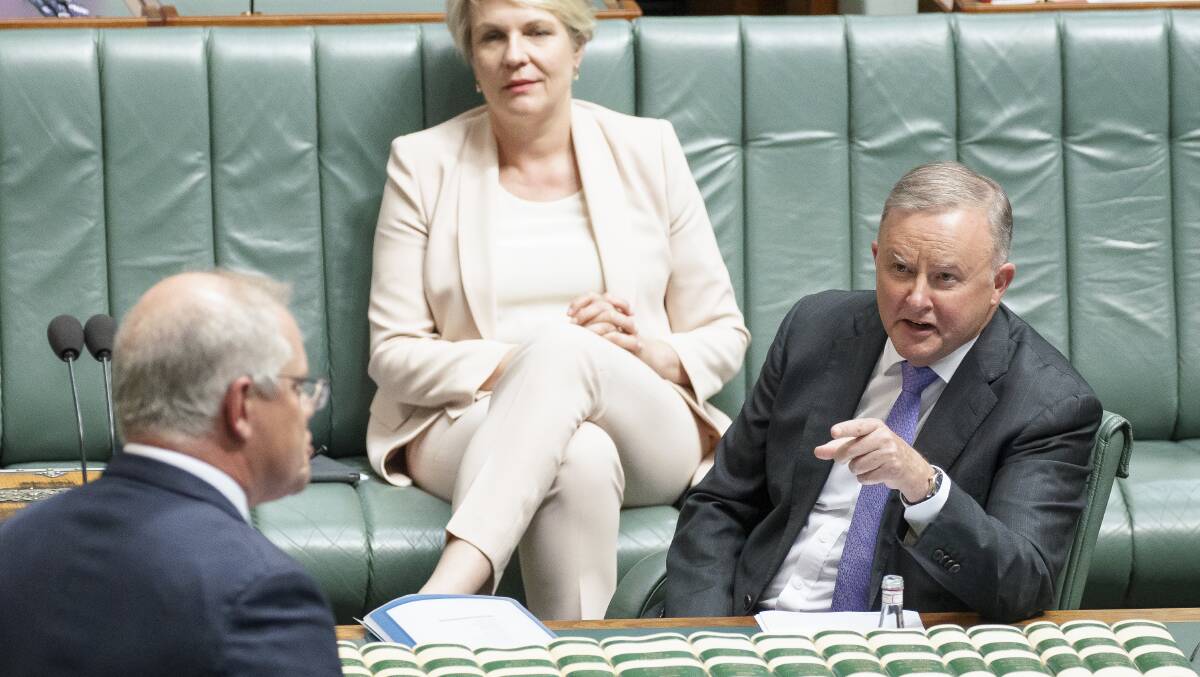 QUESTION TIME: In Parliament since 1996, Albanese became Leader of the Opposition in 2019. Picture: Sitthixay Ditthavong