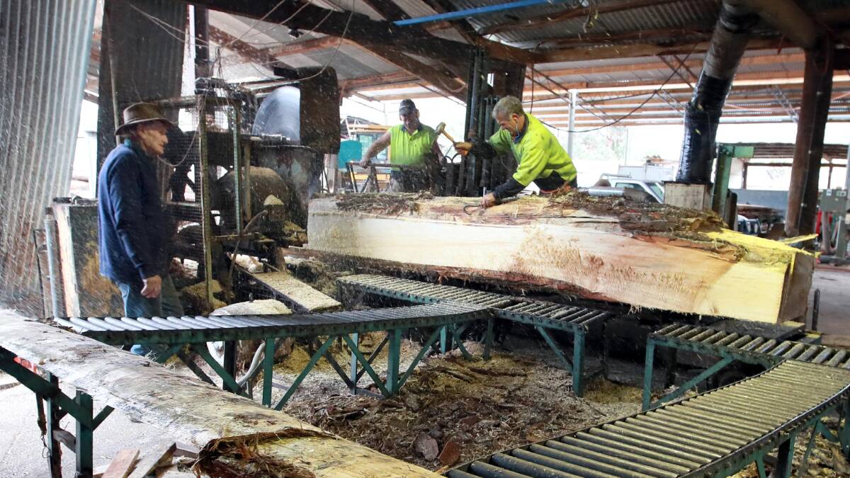 Leigh Campbell runs a small timber mill and business at Oura. He wrote a submission to the NSW inquiry into the future of the forestry industry. Picture: Les Smith