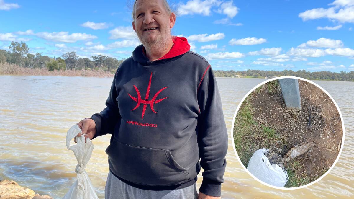 JUST A MESS: Wagga resident Terry Ryan spent Monday morning cleaning up dead fish and maggots at Lake Albert that had been left behind by other Apex Park users. Pictures: Emily Wind, Terry Ryan