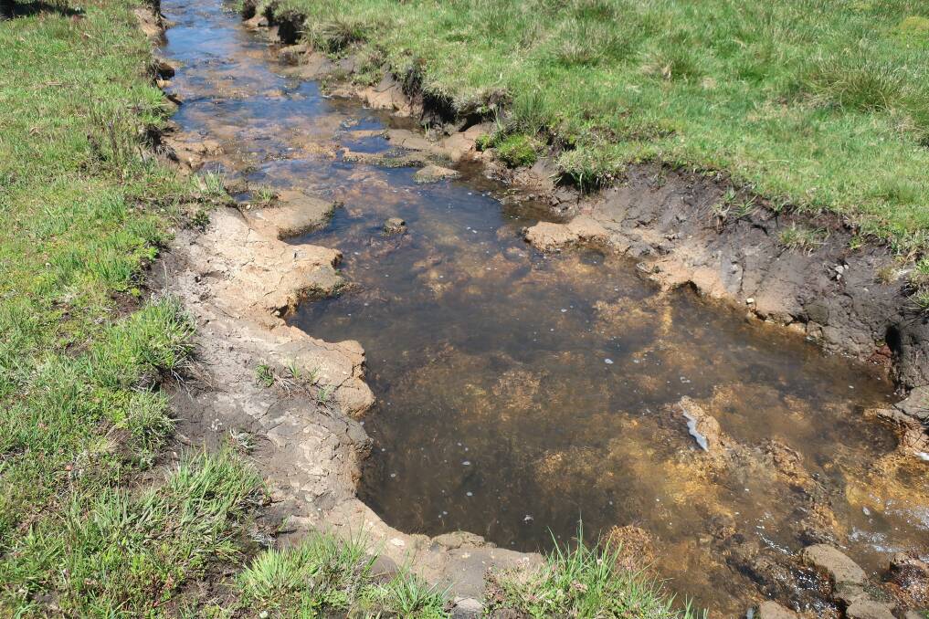DAMAGE: Horse-induced erosion on Little Peppercorn Creek in the northern end of Kosciuszko National Park. Picture: Supplied